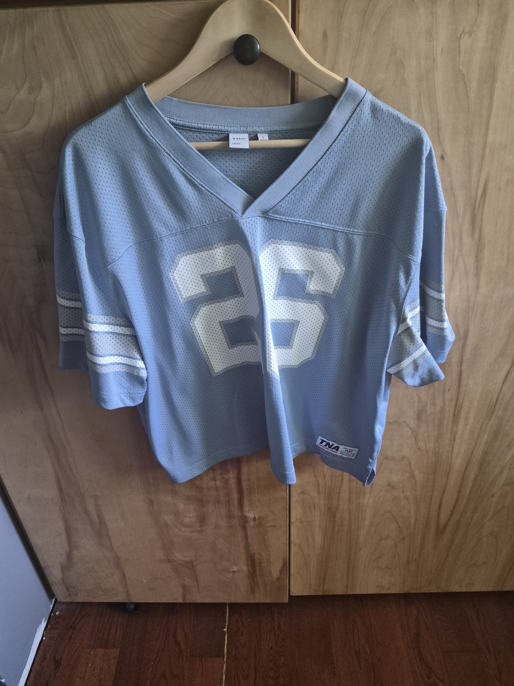 Aritzia Light Blue Mesh Jersey Top with White 26